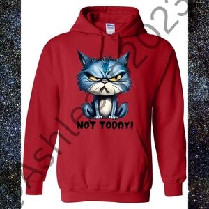Not Today Grumpy Cat Unisex Hoodie Or Sweatshirt